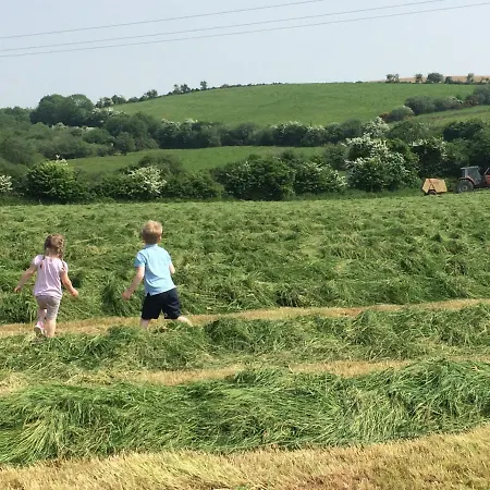 Grey Gables 3* Innishannon