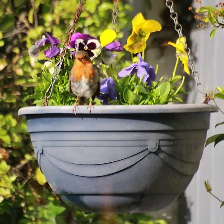 Grey Gables Bed & Breakfast Innishannon