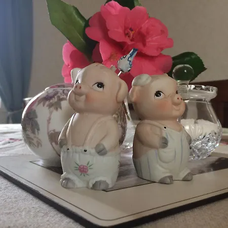 فندق مبيت وإفطار Grey Gables 3*